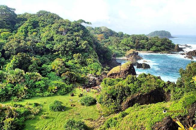 Gunung Honje via Traveotravel, Informasi Umum, Dimana dan Seberapa Luas Taman Ujung Kulon ini?, Titik Destinasi Wisata, Harga Tiket Masuk Taman Ujung Kulon , Jangan Sampai Tersasar, Apalagi Salah Angkutan!, Mulai dari Hotel Melati hingga Resort Siap Dipilih, Hal Wajib dan Hal yang Dilarang Kamu Lakukan Disana