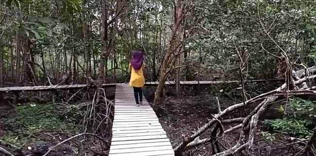 Hutan Mangrove Sebauk via Pakusu Youtube, 1. Istana Siak, 2. ASIA FARM HAYDAY¹, 3. Pantai Cinta, Teluk Jering Tambang, 4. Kasang Kulim Zoo, 5. Citraland Waterpark, 6. Taman Kota Pekanbaru, 7. Wisata Danau Raja Rengat, 8. Bukit Ulu Kasok, 9. Bandar Bakau Dumai, 10. Labersa Water Park Riau Fantasi, 11. Pantai Selat Baru, 12. Candi Muara Takus, 13. Taman Rekreasi Alam Mayang Pekanbaru, 14. Lapangan Pasir Bengkalis, 15. Pantai Tanjung Medang, Teluk Rhu Rupat, 16. Pantai Tenggayun, 17. Pantai Marina, 18. Danau Rusa Kampar, 19. Wisata Hutan Pinus Cadika, 20. Wisata Bono, Berselancar di Sungai Kampar, 21. Perpustakaan Soeman H.S, 22. Taman Wisata Alam Koboko, 23. Air Terjun TEMBULUN Kinutan, 24. Agro Wisata Pelangi, 25. KAMPOENG RABBIT’S KULIM, 26. Museum Sang Nila Utama Pekanbaru, 27. Desa Okura Pekanbaru, 28. Pantai Sepahat, 29. Taman Hutan Raya Sultan Syarif Kasim, 30. Taman Andam Dewi, 31. Rumah Lontik, 32. Kawah Biru, 33. Pulau Jemur, 34. Air Terjun Pangkalan Kapas, 35. Air Terjun Panisan, 36. Pulau Beting Aceh, 37. Hutan Mangrove Sebauk, 39. Jembatan Water Front City Bangkinang, 39. Masjid Raya An-Nur Provinsi Riau
