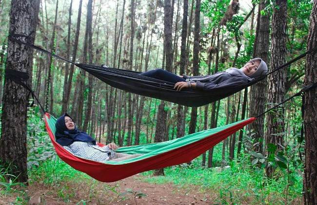 Hutan Pinus Kampar, 1. Istana Siak, 2. ASIA FARM HAYDAY¹, 3. Pantai Cinta, Teluk Jering Tambang, 4. Kasang Kulim Zoo, 5. Citraland Waterpark, 6. Taman Kota Pekanbaru, 7. Wisata Danau Raja Rengat, 8. Bukit Ulu Kasok, 9. Bandar Bakau Dumai, 10. Labersa Water Park Riau Fantasi, 11. Pantai Selat Baru, 12. Candi Muara Takus, 13. Taman Rekreasi Alam Mayang Pekanbaru, 14. Lapangan Pasir Bengkalis, 15. Pantai Tanjung Medang, Teluk Rhu Rupat, 16. Pantai Tenggayun, 17. Pantai Marina, 18. Danau Rusa Kampar, 19. Wisata Hutan Pinus Cadika, 20. Wisata Bono, Berselancar di Sungai Kampar, 21. Perpustakaan Soeman H.S, 22. Taman Wisata Alam Koboko, 23. Air Terjun TEMBULUN Kinutan, 24. Agro Wisata Pelangi, 25. KAMPOENG RABBIT’S KULIM, 26. Museum Sang Nila Utama Pekanbaru, 27. Desa Okura Pekanbaru, 28. Pantai Sepahat, 29. Taman Hutan Raya Sultan Syarif Kasim, 30. Taman Andam Dewi, 31. Rumah Lontik, 32. Kawah Biru, 33. Pulau Jemur, 34. Air Terjun Pangkalan Kapas, 35. Air Terjun Panisan, 36. Pulau Beting Aceh, 37. Hutan Mangrove Sebauk, 39. Jembatan Water Front City Bangkinang, 39. Masjid Raya An-Nur Provinsi Riau