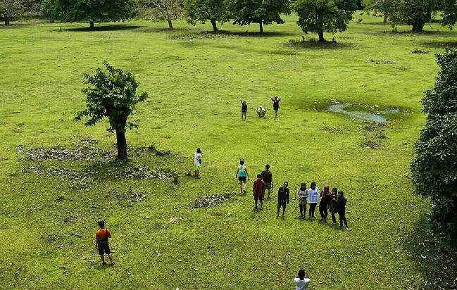 Menykasikan ALam Liar di Padang Rumput Cidaon via @Tettyyuniarti, Informasi Umum, Dimana dan Seberapa Luas Taman Ujung Kulon ini?, Titik Destinasi Wisata, Harga Tiket Masuk Taman Ujung Kulon , Jangan Sampai Tersasar, Apalagi Salah Angkutan!, Mulai dari Hotel Melati hingga Resort Siap Dipilih, Hal Wajib dan Hal yang Dilarang Kamu Lakukan Disana