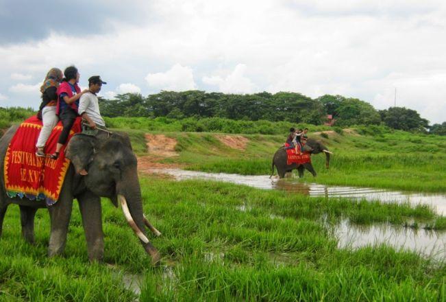 Naik Gajah di Taman Nasional Way Kambas via Daarulaman, Sejarah Way Kambas, Lokasi dan Rute Menuju Way Kambas, #Harga Tiket Masuk Way Kambas, #Daya Tarik Way Kambas, #Fasilitas yang Tersedia di Way Kambas, #Wahana Wisata Taman Nasional Way Kambas, #Tips untuk Pengunjung Way Kambas, #Penginapan Taman Nasional Way Kambas
