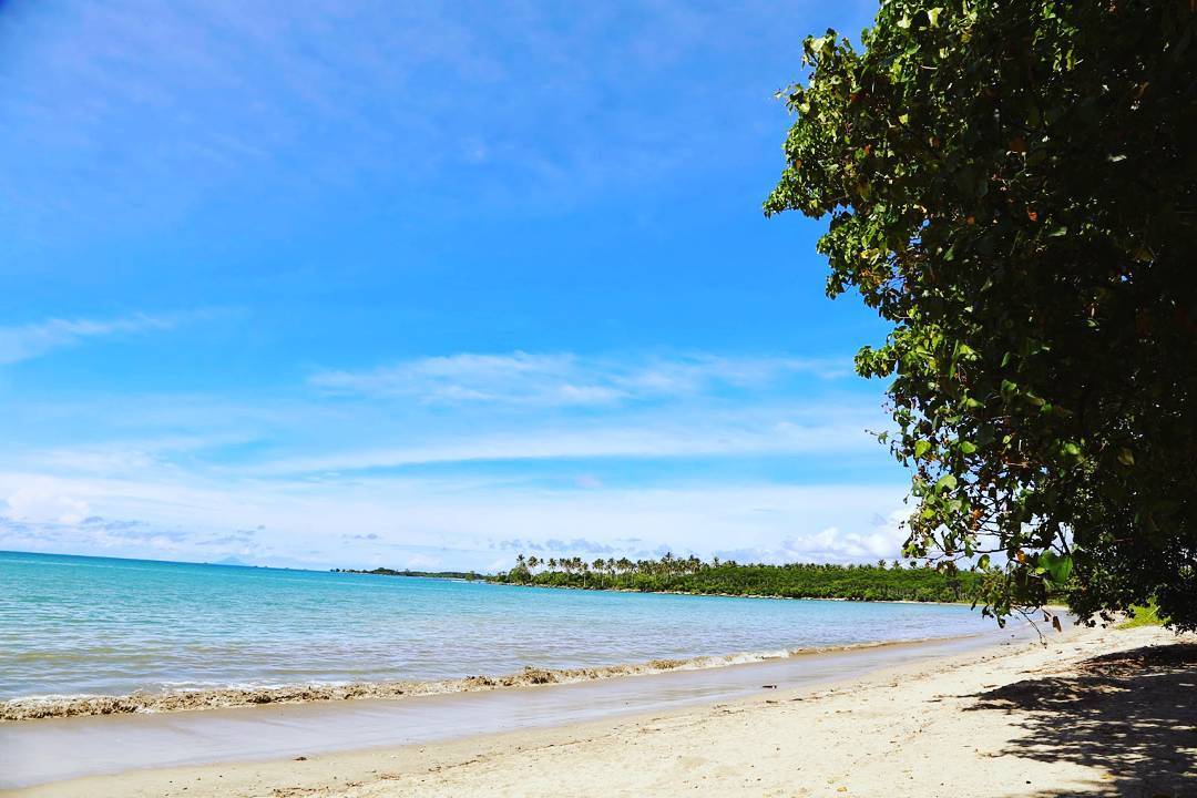 Pantai Ciputih via @Arifmaulanasidiq, Informasi Umum, Dimana dan Seberapa Luas Taman Ujung Kulon ini?, Titik Destinasi Wisata, Harga Tiket Masuk Taman Ujung Kulon , Jangan Sampai Tersasar, Apalagi Salah Angkutan!, Mulai dari Hotel Melati hingga Resort Siap Dipilih, Hal Wajib dan Hal yang Dilarang Kamu Lakukan Disana