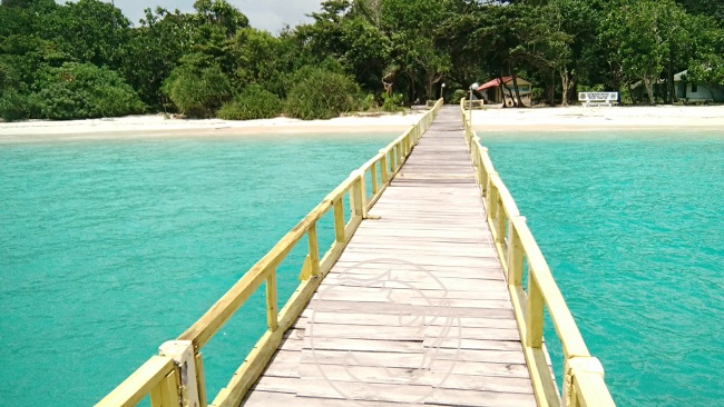 Pulau Panaitan via ujungkulon, Informasi Umum, Dimana dan Seberapa Luas Taman Ujung Kulon ini?, Titik Destinasi Wisata, Harga Tiket Masuk Taman Ujung Kulon , Jangan Sampai Tersasar, Apalagi Salah Angkutan!, Mulai dari Hotel Melati hingga Resort Siap Dipilih, Hal Wajib dan Hal yang Dilarang Kamu Lakukan Disana