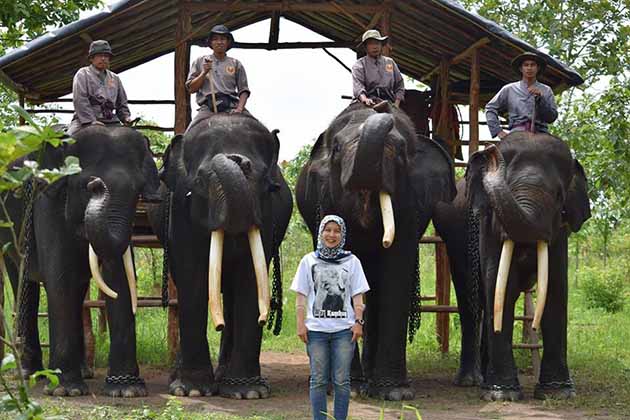 Pusat Pelatihan Gajah, Sejarah Way Kambas, Lokasi dan Rute Menuju Way Kambas, #Harga Tiket Masuk Way Kambas, #Daya Tarik Way Kambas, #Fasilitas yang Tersedia di Way Kambas, #Wahana Wisata Taman Nasional Way Kambas, #Tips untuk Pengunjung Way Kambas, #Penginapan Taman Nasional Way Kambas