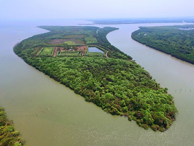Sarinah Island