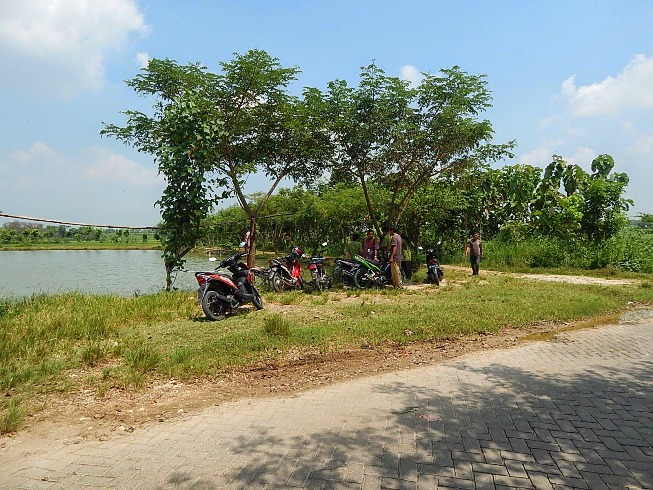 Waduk Pedang via Kimwadukpedang, 1. Air Terjun Kedung Peti, 2. Air Terjun Kedung Maor, 3. Air Terjun Grojogan Pucangarum, 4. Air Terjun Krondonan, 5. Air Terjun Clebung Bubulan, 6. Air Terjun Gua Kikik, 7. Air Terjun Kedung Gupit, 8. Waduk Pacal, 9. Waduk Pedang, 10. Banyu Kuning, 11. Taman Wisata Sario, 12. Wana Tirta Dander, 13. Bendungan Gerak Bojonegoro, 14. Agrowisata Belimbing, 15. Bukit Tono, 16. Objek Wisata Negeri di Atas Angin, 17. Watu Gandul, 18. Hutan Jati, 19. Taman Rajekwesi, 20. Kayangan Api, 21. Teksas Wonocolo, 22. Alun – Alun Bojonegoro, 23. Batu Semar, 24. Masjid Agung Darussalam Bojonegoro, 25. Masjid Al Birru Pertiwi, 26. Kelenteng Hok Swie Bio, 27. Petilasan Angling Darma, 28. Makam Wali Kidangan Sukorejo, 29. Makam Buyut Dalem di Kalangan Pacar, 30. Makam Mbah Malang Negoro Kasim, 31. Go Fun Entertainment Complex, 32. Sendang Grogolan, 33. Mata Air Desa Sumberarum, 34. Harya Matahun, 35. Oasis Swimming Pool, 36. Taman Tirta