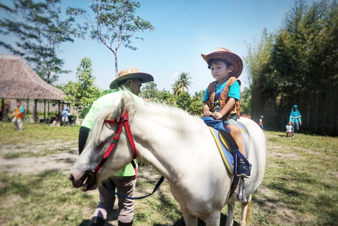 Agrowisata Bhumi Merapi via @dyaharumrevita, 1. Candi Prambanan, 2. Candi Ratu Boko, 3. Candi Kalasan, 4. Candi Ijo, 5. Candi Sari, 6. Desa Wisata Kaliurang, 7. Sendratari Ramayana, 8. Objek Wisata Monumen Jogja Kembali (Monjali), 9. Museum Affandi, 10. Objek Wisata Kali Kuning, 11. Museum Gunung Merapi, 12. Museum Ullen Sentalu, 13. Kinahrejo, 14. Goa Jepang, 15. Blue Lagoon Jogja, 16. Jogja Bay Waterpark, 17. Kampung Teletubbies, 18. Batu Alien Cangkringan, 19. Stonehenge Cangkringan, 20. Bukit Klangon Merapi, 21. Tebing Breksi, 22. Trans Studio Mini Jogja, 23. Tlogo Putri Kaliurang, 24. Lava Tour Merapi, 25. Lava Bantal, 26. Omah Salak Sleman, 27. Upside Down World, 28. Taman Pelangi, 29. Green Kayen, 30. Sindu Kusuma Edupark, 31. Tlogo Muncar Kaliurang, 32. Candi Banyunibo, 33. Candi Sambisari, 34. The World Landmarks Merapi Park, 35. Spot Riyadi, 36. Kids Fun Park, 37. Taman Gardu Pandang Kaliurang, 38. Agrowisata Bhumi Merapi, 39. Candi Abang, 40. Museum Mini Sisa Hartaku, 41. Candi Barong, 42. Candi Kimpulan, 43. The Lost World Castle, 44. Bunker Kaliadem Merapi, 45. Embung Tambakboyo, 46. Obelix Hills, 47. Grojogan Watu Purbo, 48. Plunyon Kalikuning, 49. Bukit Turgo, 50. Teras Merapi, 51. Omah Petroek, 52. Sabo Bronggang, 53. Watu Tapak, 54. Studio Alam Gamplong, 55. Kampung Flory, 56. Ledok Sambi, 57. Puri Mataram, 58. Jogja Exotarium, 59. Taman Lampion Kaliurang, 60. Desa Wisata Gabugan, 61. Agrowisata Salak Pondoh Bangunkerto, 62. Desa Wisata Pentingsari, 63. Desa Wisata Kembang Arum, 64. Desa Wisata Kelor, 65. Desa Wisata Pulesari, 66. Kampung Mina Padi Samberembe, 67. Alamanda Jogja Flowers Garden