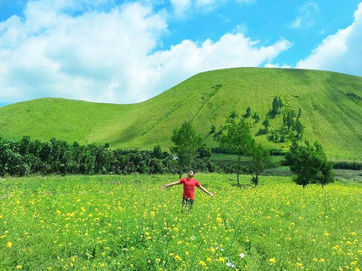 Bukit Jabal Kirmit via @egi_rangerhijau, 1. Kawah Ijen Bondowoso, 2. Kawah Wurung, 3. Kawah Ilalang, 4. Gunung Raung, 5. Wisata Pegunungan Hyang Bondowoso, 6. Bukit Seranding Bondowoso, 7. Puncak P28 Bondowoso, 8. Puncak Scorpio Wringin Bondowoso, 9. Bukit Putus Wringin Bondowoso, 10. Bukit Mahadewa Bondowoso, 11. Air Terjun Tancak Kembar, 12. Air Terjun Pulo Agung Bondowoso, 13. Air Terjun Blawan Bondowoso, 14. Air Terjun Solor Bondowoso, 15. Air Terjun Gentongan, 16. Air Terjun Belerang, 17. Air Terjun Polo Agung, 18. Bosamba Rafting Bondowoso, 19. Situs Megalitikum Bondowoso, 20. Tasnan Forest, 21. Pemandian Tasnan Bondowoso, 22. Perkebunan Kopi Arabika Kalisat Jampit, 23. Bendungan Sampean Baru, 24. Alun – Alun Bondowoso, 25. Museum Kereta Api Bondowoso, 26. Taman Krocok Bondowoso, 27. Taman Bunga Villa Afdeling Jampit, 28. Kebun Stroberi Afdeling Jampit, 29. Rawa Indah Almour, 30. Jembatan Gubrih, Bondowoso, 31. Batu So’on (The Stonehenge van Java), 32. Pemandangan Arak – Arak Bondowoso, 33. Taman Galuh Bondowoso, 34. Masjid Agung At – Taqwa Bondowoso, 35. Air Terjun Niagara Mini, 36. Air Terjun Busa, 37. Bukit Jabal Kirmit ala Selandia Baru, 38. Spot Foto Kece “Pohon Pelangi” di Hutan Bogor, 39. Desa Wisata Glingseran, 40. Mendaki Air Terjun di Kalipait, 41. Bukit Ko’ong, 42. Bukit Apetleppet si Bukit Berlapis