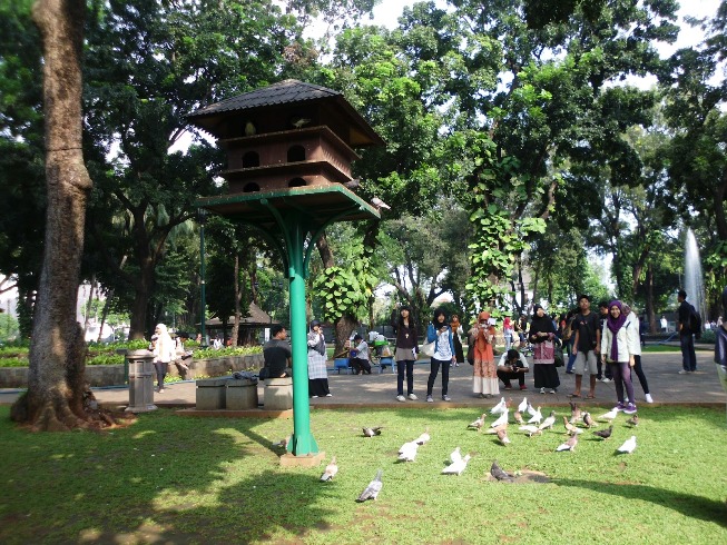 Burung Merpati di Taman Suropati via Ulinulin, 1. Tebet Eco Park, 2. Taman Lapangan Banteng, 3. Taman Suropati, 4. Taman Menteng , 5. Hutan Kota Srengseng, 6. Taman Kalijodo , 7. Taman Tabebuya , 8. Taman Cattleya , 9. Taman Hutan Kota Penjaringan, 10. Taman Spathodea , 11. Taman Situ Lembang , 12. Taman Ayodia – Barito , 13. Taman Tangkuban Perahu, 14. Taman Langsat , 15. Taman Prasasti, 16. Taman Waduk Pluit , 17. Taman Tribeca , 18. Taman Mataram , 19. Taman Ria Rio , 20. Taman Puring, 21. Taman Cornel Simanjuntak, 22. Taman Dadap Merah, 23. Taman Kelapa