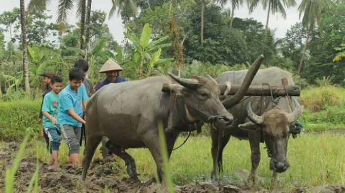 Desa Wisata Gabugan via Tribunnews, 1. Candi Prambanan, 2. Candi Ratu Boko, 3. Candi Kalasan, 4. Candi Ijo, 5. Candi Sari, 6. Desa Wisata Kaliurang, 7. Sendratari Ramayana, 8. Objek Wisata Monumen Jogja Kembali (Monjali), 9. Museum Affandi, 10. Objek Wisata Kali Kuning, 11. Museum Gunung Merapi, 12. Museum Ullen Sentalu, 13. Kinahrejo, 14. Goa Jepang, 15. Blue Lagoon Jogja, 16. Jogja Bay Waterpark, 17. Kampung Teletubbies, 18. Batu Alien Cangkringan, 19. Stonehenge Cangkringan, 20. Bukit Klangon Merapi, 21. Tebing Breksi, 22. Trans Studio Mini Jogja, 23. Tlogo Putri Kaliurang, 24. Lava Tour Merapi, 25. Lava Bantal, 26. Omah Salak Sleman, 27. Upside Down World, 28. Taman Pelangi, 29. Green Kayen, 30. Sindu Kusuma Edupark, 31. Tlogo Muncar Kaliurang, 32. Candi Banyunibo, 33. Candi Sambisari, 34. The World Landmarks Merapi Park, 35. Spot Riyadi, 36. Kids Fun Park, 37. Taman Gardu Pandang Kaliurang, 38. Agrowisata Bhumi Merapi, 39. Candi Abang, 40. Museum Mini Sisa Hartaku, 41. Candi Barong, 42. Candi Kimpulan, 43. The Lost World Castle, 44. Bunker Kaliadem Merapi, 45. Embung Tambakboyo, 46. Obelix Hills, 47. Grojogan Watu Purbo, 48. Plunyon Kalikuning, 49. Bukit Turgo, 50. Teras Merapi, 51. Omah Petroek, 52. Sabo Bronggang, 53. Watu Tapak, 54. Studio Alam Gamplong, 55. Kampung Flory, 56. Ledok Sambi, 57. Puri Mataram, 58. Jogja Exotarium, 59. Taman Lampion Kaliurang, 60. Desa Wisata Gabugan, 61. Agrowisata Salak Pondoh Bangunkerto, 62. Desa Wisata Pentingsari, 63. Desa Wisata Kembang Arum, 64. Desa Wisata Kelor, 65. Desa Wisata Pulesari, 66. Kampung Mina Padi Samberembe, 67. Alamanda Jogja Flowers Garden