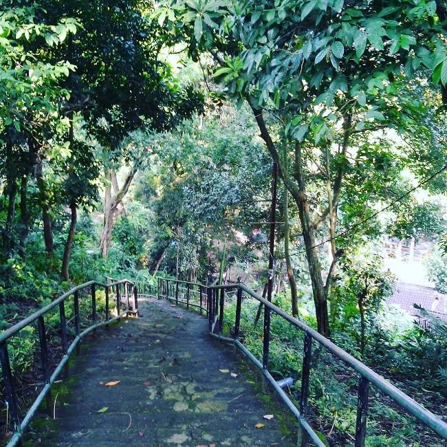 Gunung Ratu via @dinda_honey, 1. Desa Sendang Duwur, 2. Waduk Gondang, 3. Goa Maharani, 4. Makam Sunan Drajat, 5. Museum Sunan Drajat, 6. Pantai Kodok, 7. Mazola (Maharani Zoo Lamongan), 8. Makam Dewi Sekardadu, 9. Masjid Sendang Duwur, 10. Wisata Bahari Lamongan, 11. Sukodadi Carnival, 12. Pantai Kutang, 13. Bendungan Babat, 14. Monumen Van Der Wijck Lamongan, 15. Pantai Brondong, 16. Gunung Pegat, 17. Pemandaian Air Panas Sendang Brumbun, 18. Alun – Alun Kota Lamongan, 19. Wisata Edukasi Gondang Outbound (WEGO) Lamongan, 20. Gunung Mas Tugu Mantup, 21. Gunung Ratu, Tempat Gajah Mada Dilahirkan!, 22. Wisata Pohon Trinil, 23. Tlogo Sadang Lamongan, 24. Plengsengan Pantai Penanjan, 25. Pantai Klayar Lamongan, 26. Museum Seni Islam Indonesia, 27. Pantai Kemantren Lamongan, 28. Soto Lamongan, 29. Nasi Boranan, 30. Bandeng Colo, 31. Wingko Babat, 32. Es Dawet Siwalan