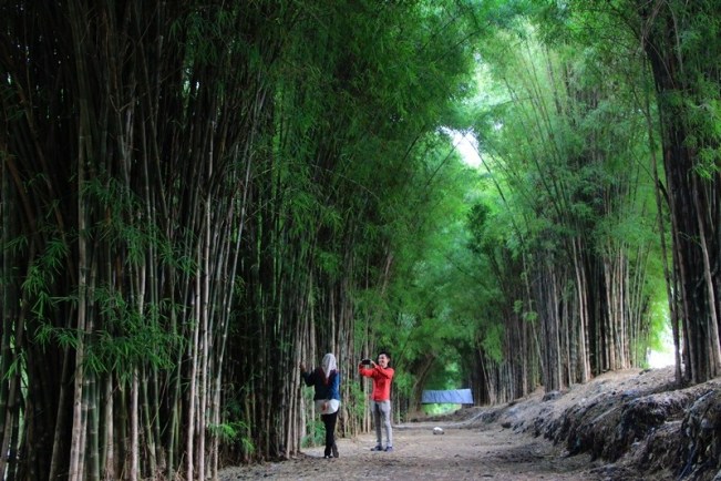 Hutan Bambu Surabaya via HumasSurabaya, Sejarah Lokasi Hutan Bambu, Cara Sampai ke Wisata Hutan Bambu, Fasilitas yang Tersedia Disana, Bak Hutan Sagano Jepang, Wisata Menarik di Dekat Hutan Bambu