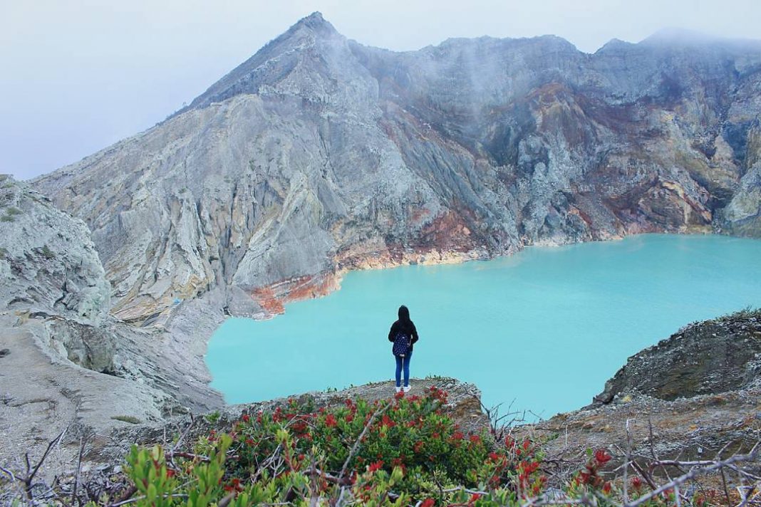 Kawah Ijen Bondowoso, 1. Kawah Ijen Bondowoso, 2. Kawah Wurung, 3. Kawah Ilalang, 4. Gunung Raung, 5. Wisata Pegunungan Hyang Bondowoso, 6. Bukit Seranding Bondowoso, 7. Puncak P28 Bondowoso, 8. Puncak Scorpio Wringin Bondowoso, 9. Bukit Putus Wringin Bondowoso, 10. Bukit Mahadewa Bondowoso, 11. Air Terjun Tancak Kembar, 12. Air Terjun Pulo Agung Bondowoso, 13. Air Terjun Blawan Bondowoso, 14. Air Terjun Solor Bondowoso, 15. Air Terjun Gentongan, 16. Air Terjun Belerang, 17. Air Terjun Polo Agung, 18. Bosamba Rafting Bondowoso, 19. Situs Megalitikum Bondowoso, 20. Tasnan Forest, 21. Pemandian Tasnan Bondowoso, 22. Perkebunan Kopi Arabika Kalisat Jampit, 23. Bendungan Sampean Baru, 24. Alun – Alun Bondowoso, 25. Museum Kereta Api Bondowoso, 26. Taman Krocok Bondowoso, 27. Taman Bunga Villa Afdeling Jampit, 28. Kebun Stroberi Afdeling Jampit, 29. Rawa Indah Almour, 30. Jembatan Gubrih, Bondowoso, 31. Batu So’on (The Stonehenge van Java), 32. Pemandangan Arak – Arak Bondowoso, 33. Taman Galuh Bondowoso, 34. Masjid Agung At – Taqwa Bondowoso, 35. Air Terjun Niagara Mini, 36. Air Terjun Busa, 37. Bukit Jabal Kirmit ala Selandia Baru, 38. Spot Foto Kece “Pohon Pelangi” di Hutan Bogor, 39. Desa Wisata Glingseran, 40. Mendaki Air Terjun di Kalipait, 41. Bukit Ko’ong, 42. Bukit Apetleppet si Bukit Berlapis