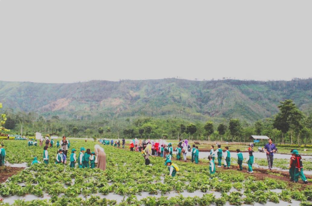 Kebun Stroberi Afdeling Jampit, 1. Kawah Ijen Bondowoso, 2. Kawah Wurung, 3. Kawah Ilalang, 4. Gunung Raung, 5. Wisata Pegunungan Hyang Bondowoso, 6. Bukit Seranding Bondowoso, 7. Puncak P28 Bondowoso, 8. Puncak Scorpio Wringin Bondowoso, 9. Bukit Putus Wringin Bondowoso, 10. Bukit Mahadewa Bondowoso, 11. Air Terjun Tancak Kembar, 12. Air Terjun Pulo Agung Bondowoso, 13. Air Terjun Blawan Bondowoso, 14. Air Terjun Solor Bondowoso, 15. Air Terjun Gentongan, 16. Air Terjun Belerang, 17. Air Terjun Polo Agung, 18. Bosamba Rafting Bondowoso, 19. Situs Megalitikum Bondowoso, 20. Tasnan Forest, 21. Pemandian Tasnan Bondowoso, 22. Perkebunan Kopi Arabika Kalisat Jampit, 23. Bendungan Sampean Baru, 24. Alun – Alun Bondowoso, 25. Museum Kereta Api Bondowoso, 26. Taman Krocok Bondowoso, 27. Taman Bunga Villa Afdeling Jampit, 28. Kebun Stroberi Afdeling Jampit, 29. Rawa Indah Almour, 30. Jembatan Gubrih, Bondowoso, 31. Batu So’on (The Stonehenge van Java), 32. Pemandangan Arak – Arak Bondowoso, 33. Taman Galuh Bondowoso, 34. Masjid Agung At – Taqwa Bondowoso, 35. Air Terjun Niagara Mini, 36. Air Terjun Busa, 37. Bukit Jabal Kirmit ala Selandia Baru, 38. Spot Foto Kece “Pohon Pelangi” di Hutan Bogor, 39. Desa Wisata Glingseran, 40. Mendaki Air Terjun di Kalipait, 41. Bukit Ko’ong, 42. Bukit Apetleppet si Bukit Berlapis