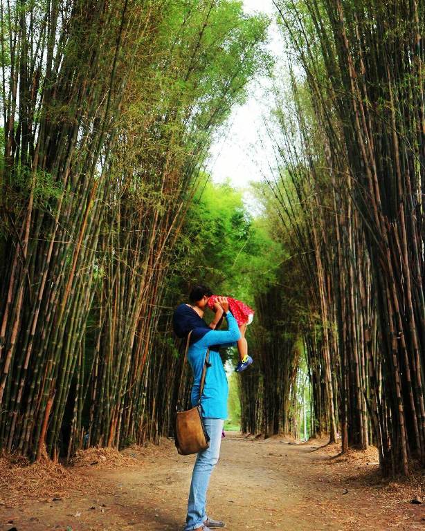 Objek Wisata Hutan Bambu Keputih, Sejarah Lokasi Hutan Bambu, Cara Sampai ke Wisata Hutan Bambu, Fasilitas yang Tersedia Disana, Bak Hutan Sagano Jepang, Wisata Menarik di Dekat Hutan Bambu