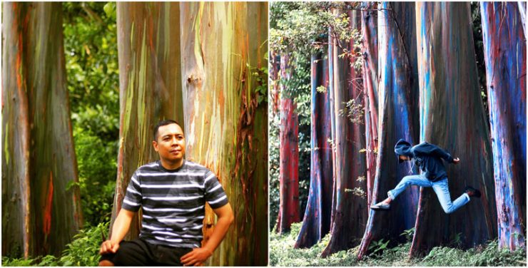 Pohon Pelangi Hutan Bogor via @rakhmat_fachry &amp; @killjoy_93, 1. Kawah Ijen Bondowoso, 2. Kawah Wurung, 3. Kawah Ilalang, 4. Gunung Raung, 5. Wisata Pegunungan Hyang Bondowoso, 6. Bukit Seranding Bondowoso, 7. Puncak P28 Bondowoso, 8. Puncak Scorpio Wringin Bondowoso, 9. Bukit Putus Wringin Bondowoso, 10. Bukit Mahadewa Bondowoso, 11. Air Terjun Tancak Kembar, 12. Air Terjun Pulo Agung Bondowoso, 13. Air Terjun Blawan Bondowoso, 14. Air Terjun Solor Bondowoso, 15. Air Terjun Gentongan, 16. Air Terjun Belerang, 17. Air Terjun Polo Agung, 18. Bosamba Rafting Bondowoso, 19. Situs Megalitikum Bondowoso, 20. Tasnan Forest, 21. Pemandian Tasnan Bondowoso, 22. Perkebunan Kopi Arabika Kalisat Jampit, 23. Bendungan Sampean Baru, 24. Alun – Alun Bondowoso, 25. Museum Kereta Api Bondowoso, 26. Taman Krocok Bondowoso, 27. Taman Bunga Villa Afdeling Jampit, 28. Kebun Stroberi Afdeling Jampit, 29. Rawa Indah Almour, 30. Jembatan Gubrih, Bondowoso, 31. Batu So’on (The Stonehenge van Java), 32. Pemandangan Arak – Arak Bondowoso, 33. Taman Galuh Bondowoso, 34. Masjid Agung At – Taqwa Bondowoso, 35. Air Terjun Niagara Mini, 36. Air Terjun Busa, 37. Bukit Jabal Kirmit ala Selandia Baru, 38. Spot Foto Kece “Pohon Pelangi” di Hutan Bogor, 39. Desa Wisata Glingseran, 40. Mendaki Air Terjun di Kalipait, 41. Bukit Ko’ong, 42. Bukit Apetleppet si Bukit Berlapis