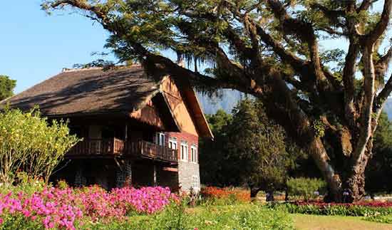Taman Bunga Villa Afdeling Jampit via Ketahui, 1. Kawah Ijen Bondowoso, 2. Kawah Wurung, 3. Kawah Ilalang, 4. Gunung Raung, 5. Wisata Pegunungan Hyang Bondowoso, 6. Bukit Seranding Bondowoso, 7. Puncak P28 Bondowoso, 8. Puncak Scorpio Wringin Bondowoso, 9. Bukit Putus Wringin Bondowoso, 10. Bukit Mahadewa Bondowoso, 11. Air Terjun Tancak Kembar, 12. Air Terjun Pulo Agung Bondowoso, 13. Air Terjun Blawan Bondowoso, 14. Air Terjun Solor Bondowoso, 15. Air Terjun Gentongan, 16. Air Terjun Belerang, 17. Air Terjun Polo Agung, 18. Bosamba Rafting Bondowoso, 19. Situs Megalitikum Bondowoso, 20. Tasnan Forest, 21. Pemandian Tasnan Bondowoso, 22. Perkebunan Kopi Arabika Kalisat Jampit, 23. Bendungan Sampean Baru, 24. Alun – Alun Bondowoso, 25. Museum Kereta Api Bondowoso, 26. Taman Krocok Bondowoso, 27. Taman Bunga Villa Afdeling Jampit, 28. Kebun Stroberi Afdeling Jampit, 29. Rawa Indah Almour, 30. Jembatan Gubrih, Bondowoso, 31. Batu So’on (The Stonehenge van Java), 32. Pemandangan Arak – Arak Bondowoso, 33. Taman Galuh Bondowoso, 34. Masjid Agung At – Taqwa Bondowoso, 35. Air Terjun Niagara Mini, 36. Air Terjun Busa, 37. Bukit Jabal Kirmit ala Selandia Baru, 38. Spot Foto Kece “Pohon Pelangi” di Hutan Bogor, 39. Desa Wisata Glingseran, 40. Mendaki Air Terjun di Kalipait, 41. Bukit Ko’ong, 42. Bukit Apetleppet si Bukit Berlapis
