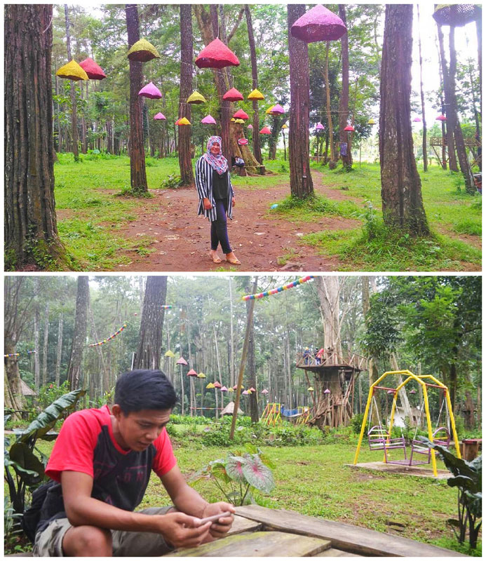 Tasnan Forest via @widyawati_widwin &amp; @to_nyin, 1. Kawah Ijen Bondowoso, 2. Kawah Wurung, 3. Kawah Ilalang, 4. Gunung Raung, 5. Wisata Pegunungan Hyang Bondowoso, 6. Bukit Seranding Bondowoso, 7. Puncak P28 Bondowoso, 8. Puncak Scorpio Wringin Bondowoso, 9. Bukit Putus Wringin Bondowoso, 10. Bukit Mahadewa Bondowoso, 11. Air Terjun Tancak Kembar, 12. Air Terjun Pulo Agung Bondowoso, 13. Air Terjun Blawan Bondowoso, 14. Air Terjun Solor Bondowoso, 15. Air Terjun Gentongan, 16. Air Terjun Belerang, 17. Air Terjun Polo Agung, 18. Bosamba Rafting Bondowoso, 19. Situs Megalitikum Bondowoso, 20. Tasnan Forest, 21. Pemandian Tasnan Bondowoso, 22. Perkebunan Kopi Arabika Kalisat Jampit, 23. Bendungan Sampean Baru, 24. Alun – Alun Bondowoso, 25. Museum Kereta Api Bondowoso, 26. Taman Krocok Bondowoso, 27. Taman Bunga Villa Afdeling Jampit, 28. Kebun Stroberi Afdeling Jampit, 29. Rawa Indah Almour, 30. Jembatan Gubrih, Bondowoso, 31. Batu So’on (The Stonehenge van Java), 32. Pemandangan Arak – Arak Bondowoso, 33. Taman Galuh Bondowoso, 34. Masjid Agung At – Taqwa Bondowoso, 35. Air Terjun Niagara Mini, 36. Air Terjun Busa, 37. Bukit Jabal Kirmit ala Selandia Baru, 38. Spot Foto Kece “Pohon Pelangi” di Hutan Bogor, 39. Desa Wisata Glingseran, 40. Mendaki Air Terjun di Kalipait, 41. Bukit Ko’ong, 42. Bukit Apetleppet si Bukit Berlapis