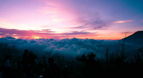 Wisata Pegunungan Hyang Bondowoso, 1. Kawah Ijen Bondowoso, 2. Kawah Wurung, 3. Kawah Ilalang, 4. Gunung Raung, 5. Wisata Pegunungan Hyang Bondowoso, 6. Bukit Seranding Bondowoso, 7. Puncak P28 Bondowoso, 8. Puncak Scorpio Wringin Bondowoso, 9. Bukit Putus Wringin Bondowoso, 10. Bukit Mahadewa Bondowoso, 11. Air Terjun Tancak Kembar, 12. Air Terjun Pulo Agung Bondowoso, 13. Air Terjun Blawan Bondowoso, 14. Air Terjun Solor Bondowoso, 15. Air Terjun Gentongan, 16. Air Terjun Belerang, 17. Air Terjun Polo Agung, 18. Bosamba Rafting Bondowoso, 19. Situs Megalitikum Bondowoso, 20. Tasnan Forest, 21. Pemandian Tasnan Bondowoso, 22. Perkebunan Kopi Arabika Kalisat Jampit, 23. Bendungan Sampean Baru, 24. Alun – Alun Bondowoso, 25. Museum Kereta Api Bondowoso, 26. Taman Krocok Bondowoso, 27. Taman Bunga Villa Afdeling Jampit, 28. Kebun Stroberi Afdeling Jampit, 29. Rawa Indah Almour, 30. Jembatan Gubrih, Bondowoso, 31. Batu So’on (The Stonehenge van Java), 32. Pemandangan Arak – Arak Bondowoso, 33. Taman Galuh Bondowoso, 34. Masjid Agung At – Taqwa Bondowoso, 35. Air Terjun Niagara Mini, 36. Air Terjun Busa, 37. Bukit Jabal Kirmit ala Selandia Baru, 38. Spot Foto Kece “Pohon Pelangi” di Hutan Bogor, 39. Desa Wisata Glingseran, 40. Mendaki Air Terjun di Kalipait, 41. Bukit Ko’ong, 42. Bukit Apetleppet si Bukit Berlapis
