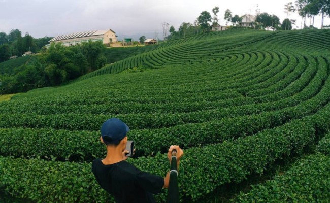 Agrowisata Kebun Teh Cikuya via @iilf.azz, 1. Pantai Karang Bokor, 2. Pantai Pasir Putih Sawarna, 3. Curug Ciporolak, 4. Curug Cihear, 5. Curuh Kanteh, 6. Agrowisata Kebun Teh Cikuya, 7. Curug Kumpay, 8. Curug Cibangkit, 9. Curug Sipayung, 10. Situ Palayangan, 11. Pantai Talanca, 12. Wisata Seni Batik Khas Lebak, 13. Situs Cibedug, 14. Wisata Air Panas Senanghati, 15. Pantai Suka Hujan, 16. Pantai Cihara, 17. Pantai Goa Langir Sawarna, 18. Gua Seribu Candi, 19. Wisata Tapak Kaki Raksasa si Kabayan, 20. Wisata Air Panas Cipanas, 21. Wisata Kampung Baduy, 22. Pantai Karang Malang, 23. Objek Wisata Samaun’s Hill Park, 24. Pantai Ciantir, 25. Pantai Bagedur, 26. Pantai Tanjung Layar, 27. Curug Munding, 28. Situ Cicinta, 29. Curug Sata, 30. Wisata Arung Jeram Sungai Ciberang, 31. Curug Cimayang, 32. Gua Maria Bukit Kanada, 33. Alun – alun Rangkasbitung, 34. Museum Multatuli Lebak, 35. Pantai Karang Songsong