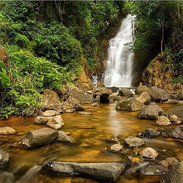 Agrowisata Salak Sodong Batang via IG, 1. Pantai Ujung Negoro Batang, 2. Pantai Celong, 3. Pantai Jodo Gringsing Batang, 4. Pantai Sigandu Batang – Safari Beach Jateng, 5. Kebun Teh Pagilaran Batang, 6. Curug Sijeglong, 7. Curug Agung Batang, 8. Curug Bidadari, 9. Curug Sodong, 10. Curug Genting Blado, 11. Rivertubing di Kali Lampir, 12. Telaga Dringo Batang, 13. Pemandian Air Panas Sangu Banyu, 14. Agrowisata Salak Sodong Batang, 15. Taman Budaya dan Rekreasi Kramat, 16. Batang Dolphin Center, 17. Ecopark Bandar, 18. Desa Wisata Pranten, 19. Goa Jepang (Tutup), 20. Tubing Pandansari Batang, 21. Pantai Pelabuhan Perikanan Batang, 22. Pantai Buntu – Pantai Jodo, 23. Batu Gamelan Batang, 24. Agrowisata Selopajang Timur, 25. Puncak Patran, 26. Wisata Alam Sikembang, 27. Curug Gombong, 28. Curug Botoh, 29. Curug Kanoman, 30. Green House Sri Tani Lestari – Taman Bunga Krisan, 31. Rumah Pohon Tombo (Tutup), 32. Curug Sipitung, 33. Curug Lojahan, 34. Pantai Sicepit – Pantai Segolok, 35. Jembatan Buntu Sengon, 36. Wana Wisata Polowono, 37. Pandang Sri Gunung, 38. Curug Sidangkrong, 39. Hutan Kota Rajawali Batang
