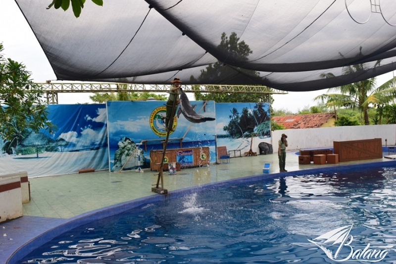 Batang Dolphin Center via Okezone, 1. Pantai Ujung Negoro Batang, 2. Pantai Celong, 3. Pantai Jodo Gringsing Batang, 4. Pantai Sigandu Batang – Safari Beach Jateng, 5. Kebun Teh Pagilaran Batang, 6. Curug Sijeglong, 7. Curug Agung Batang, 8. Curug Bidadari, 9. Curug Sodong, 10. Curug Genting Blado, 11. Rivertubing di Kali Lampir, 12. Telaga Dringo Batang, 13. Pemandian Air Panas Sangu Banyu, 14. Agrowisata Salak Sodong Batang, 15. Taman Budaya dan Rekreasi Kramat, 16. Batang Dolphin Center, 17. Ecopark Bandar, 18. Desa Wisata Pranten, 19. Goa Jepang (Tutup), 20. Tubing Pandansari Batang, 21. Pantai Pelabuhan Perikanan Batang, 22. Pantai Buntu – Pantai Jodo, 23. Batu Gamelan Batang, 24. Agrowisata Selopajang Timur, 25. Puncak Patran, 26. Wisata Alam Sikembang, 27. Curug Gombong, 28. Curug Botoh, 29. Curug Kanoman, 30. Green House Sri Tani Lestari – Taman Bunga Krisan, 31. Rumah Pohon Tombo (Tutup), 32. Curug Sipitung, 33. Curug Lojahan, 34. Pantai Sicepit – Pantai Segolok, 35. Jembatan Buntu Sengon, 36. Wana Wisata Polowono, 37. Pandang Sri Gunung, 38. Curug Sidangkrong, 39. Hutan Kota Rajawali Batang