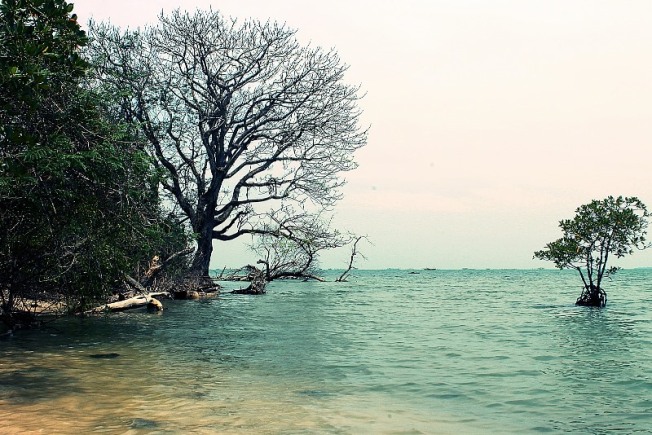 Cagar Alam Pulau Dua via Gpswisataindonesia, 1. Taman Wisata MBS, 2. Aqualand Serang, 3. Pantai Cibereum Anyer, 4. Pantai Marbella Anyer, 5. Pantai Sambolo, 6. Pantai Anyer, 7. Rumah Hutan Cilowong, 8. Pulau Lima, 9. Napak Tilas Kerajaan Islam di Serang Banten, 10. Pantai Marina Anyer, 11. Pantai Florida Indah Anyer, 12. Pantai Jambu, 13. Pantai Karang Bolong, 14. Pulau Tunda, 15. Curug Leuwibumi, 16. Situ Rawa Arum, 17. Pulau Sangiang, 18. Pantai Lontar, 19. Vihara Avalokitesvara, 20. Wisata Agro Bukit Waruwangi, 21. Pantai Labuan, 22. Danau Rowa Dano, 23. Cagar Alam Pulau Dua, 24. Danau Tasikardi, 25. Hutan Kayu Putih Kragilan, 26. Gunung Pinang, 27. Masjid Tanpa Kubah, Masjid Pecinan Tinggi, 28. Danau Kaolin Bekas Tambang Pasir Ciomas, 29. Arung Jeram Tubing Cikalumpang, 30. Pemandian Cirahab – Curug Goong, 31. Curug Cigumawang, 32. Curug Leuwi Tomo, 33. Benteng Speelwijk, 34. Alun-alun Barat Kota Serang Banten, 35. Pantai Gopek Karangantu, 36. Kerkhoff, 37. Situs Banten Girang, 38. Museum Negeri Banten, 39. Taman Rekreasi Wulandira, 40. Curug Cikotak, 41. Curug Sawer, 42. Masjid Agung Banten, 42. Pos Pengamatan Gunungapi Krakatau (Pasauran), 44. Goa Cilayang, 45. Curug Betung