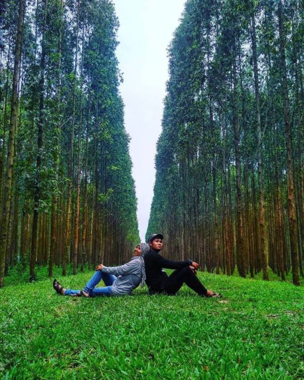 Hutan Kayu Putih Kragilan via @anugrahpuspitasari22, 1. Taman Wisata MBS, 2. Aqualand Serang, 3. Pantai Cibereum Anyer, 4. Pantai Marbella Anyer, 5. Pantai Sambolo, 6. Pantai Anyer, 7. Rumah Hutan Cilowong, 8. Pulau Lima, 9. Napak Tilas Kerajaan Islam di Serang Banten, 10. Pantai Marina Anyer, 11. Pantai Florida Indah Anyer, 12. Pantai Jambu, 13. Pantai Karang Bolong, 14. Pulau Tunda, 15. Curug Leuwibumi, 16. Situ Rawa Arum, 17. Pulau Sangiang, 18. Pantai Lontar, 19. Vihara Avalokitesvara, 20. Wisata Agro Bukit Waruwangi, 21. Pantai Labuan, 22. Danau Rowa Dano, 23. Cagar Alam Pulau Dua, 24. Danau Tasikardi, 25. Hutan Kayu Putih Kragilan, 26. Gunung Pinang, 27. Masjid Tanpa Kubah, Masjid Pecinan Tinggi, 28. Danau Kaolin Bekas Tambang Pasir Ciomas, 29. Arung Jeram Tubing Cikalumpang, 30. Pemandian Cirahab – Curug Goong, 31. Curug Cigumawang, 32. Curug Leuwi Tomo, 33. Benteng Speelwijk, 34. Alun-alun Barat Kota Serang Banten, 35. Pantai Gopek Karangantu, 36. Kerkhoff, 37. Situs Banten Girang, 38. Museum Negeri Banten, 39. Taman Rekreasi Wulandira, 40. Curug Cikotak, 41. Curug Sawer, 42. Masjid Agung Banten, 42. Pos Pengamatan Gunungapi Krakatau (Pasauran), 44. Goa Cilayang, 45. Curug Betung