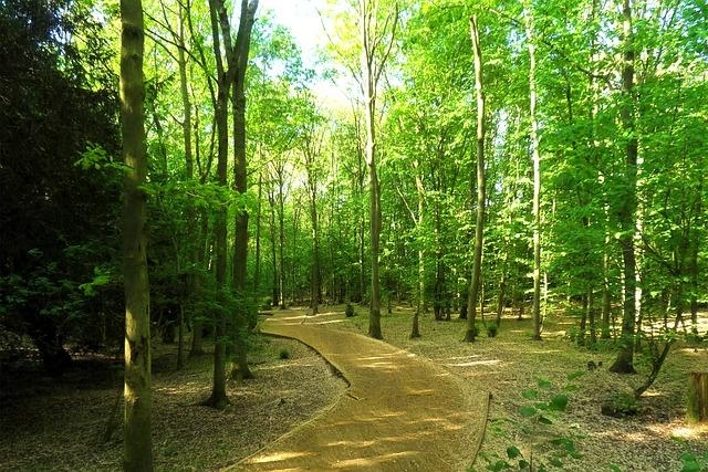 Hutan Wisata Kucur via Sportourim