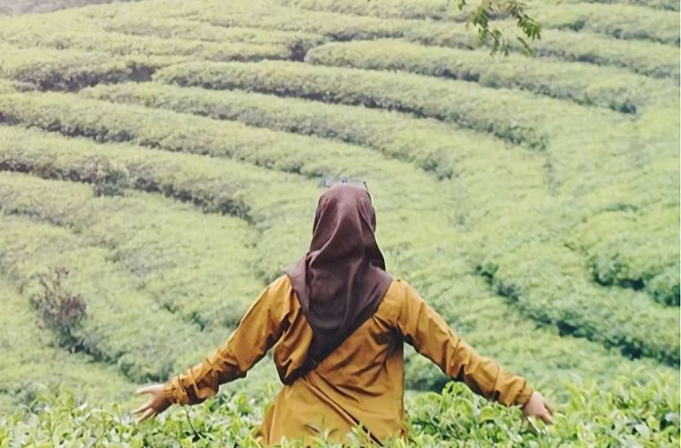 Kebun Teh Pagilaran Batang via @dhen_ajung, 1. Pantai Ujung Negoro Batang, 2. Pantai Celong, 3. Pantai Jodo Gringsing Batang, 4. Pantai Sigandu Batang – Safari Beach Jateng, 5. Kebun Teh Pagilaran Batang, 6. Curug Sijeglong, 7. Curug Agung Batang, 8. Curug Bidadari, 9. Curug Sodong, 10. Curug Genting Blado, 11. Rivertubing di Kali Lampir, 12. Telaga Dringo Batang, 13. Pemandian Air Panas Sangu Banyu, 14. Agrowisata Salak Sodong Batang, 15. Taman Budaya dan Rekreasi Kramat, 16. Batang Dolphin Center, 17. Ecopark Bandar, 18. Desa Wisata Pranten, 19. Goa Jepang (Tutup), 20. Tubing Pandansari Batang, 21. Pantai Pelabuhan Perikanan Batang, 22. Pantai Buntu – Pantai Jodo, 23. Batu Gamelan Batang, 24. Agrowisata Selopajang Timur, 25. Puncak Patran, 26. Wisata Alam Sikembang, 27. Curug Gombong, 28. Curug Botoh, 29. Curug Kanoman, 30. Green House Sri Tani Lestari – Taman Bunga Krisan, 31. Rumah Pohon Tombo (Tutup), 32. Curug Sipitung, 33. Curug Lojahan, 34. Pantai Sicepit – Pantai Segolok, 35. Jembatan Buntu Sengon, 36. Wana Wisata Polowono, 37. Pandang Sri Gunung, 38. Curug Sidangkrong, 39. Hutan Kota Rajawali Batang