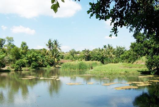 Obyek Wisata Waduk Curah Cottok Situbondo via Tagar, 1. Taman Nasional Baluran, 2. Pantai Pasir Putih Situbondo, 3. Pantai Bletok, 4. Pantai Lempuyang, 5. Pantai Tangsi, 6. Pantai Keperan, 7. Pantai Pathek, 8. Pantai Tampora Situbondo, 9. Pantai Balanan, 10. Pantai Banongan, 11. Pantai Bama, 12. Wisata Kampung Blekok, 13. Pantai sejile, 14. Pantai Firdaus Banongan, 15. Bekol Savana TN Baluran, 16. Air Terjun Setancak, 17. Air Terjun Talempong, 18. Alun – Alun Situbondo, 19. Rumah Residen Besuki, 20. Puncak Ringgit, 21. Pabrik Gula Olean, 22. Monumen 1000 Km Anyer Panarukan, 23. Arung Jeram Samir Situbondo, 24. Perkebunan Kopi Kayu Mas, 25. Padang Savana Situbondo, 26. Pelabuhan Rakyat Panarukan, 27. Taman Asembagus, 28. Kolam Renang Tirta Pandawa Situbondo, 29. Pelabuhan Jangkar Situbondo, 30. Waduk Curah Cottok Situbondo, 31. Gunung Argopura, 32. Kelenteng Poo Tong Biaw Situbondo, 33. Pantai Pasir Hitam Banongan, 34. Pantai Pandean, 35. Waduk Bajulmati, 36. Bukit Cappore, 37. Pantai Bilik Situbondo, 38. Puncak Rengganis Argopuro Situbondo, 39. Padang Rumput Sikasur