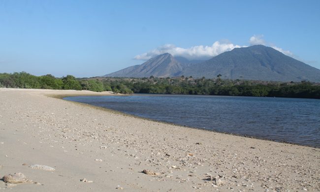 Pantai Bilik Situbondo via Lelungan, 1. Taman Nasional Baluran, 2. Pantai Pasir Putih Situbondo, 3. Pantai Bletok, 4. Pantai Lempuyang, 5. Pantai Tangsi, 6. Pantai Keperan, 7. Pantai Pathek, 8. Pantai Tampora Situbondo, 9. Pantai Balanan, 10. Pantai Banongan, 11. Pantai Bama, 12. Wisata Kampung Blekok, 13. Pantai sejile, 14. Pantai Firdaus Banongan, 15. Bekol Savana TN Baluran, 16. Air Terjun Setancak, 17. Air Terjun Talempong, 18. Alun – Alun Situbondo, 19. Rumah Residen Besuki, 20. Puncak Ringgit, 21. Pabrik Gula Olean, 22. Monumen 1000 Km Anyer Panarukan, 23. Arung Jeram Samir Situbondo, 24. Perkebunan Kopi Kayu Mas, 25. Padang Savana Situbondo, 26. Pelabuhan Rakyat Panarukan, 27. Taman Asembagus, 28. Kolam Renang Tirta Pandawa Situbondo, 29. Pelabuhan Jangkar Situbondo, 30. Waduk Curah Cottok Situbondo, 31. Gunung Argopura, 32. Kelenteng Poo Tong Biaw Situbondo, 33. Pantai Pasir Hitam Banongan, 34. Pantai Pandean, 35. Waduk Bajulmati, 36. Bukit Cappore, 37. Pantai Bilik Situbondo, 38. Puncak Rengganis Argopuro Situbondo, 39. Padang Rumput Sikasur
