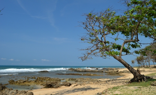 Pantai Karang Malang via Jalanwisata, 1. Pantai Karang Bokor, 2. Pantai Pasir Putih Sawarna, 3. Curug Ciporolak, 4. Curug Cihear, 5. Curuh Kanteh, 6. Agrowisata Kebun Teh Cikuya, 7. Curug Kumpay, 8. Curug Cibangkit, 9. Curug Sipayung, 10. Situ Palayangan, 11. Pantai Talanca, 12. Wisata Seni Batik Khas Lebak, 13. Situs Cibedug, 14. Wisata Air Panas Senanghati, 15. Pantai Suka Hujan, 16. Pantai Cihara, 17. Pantai Goa Langir Sawarna, 18. Gua Seribu Candi, 19. Wisata Tapak Kaki Raksasa si Kabayan, 20. Wisata Air Panas Cipanas, 21. Wisata Kampung Baduy, 22. Pantai Karang Malang, 23. Objek Wisata Samaun’s Hill Park, 24. Pantai Ciantir, 25. Pantai Bagedur, 26. Pantai Tanjung Layar, 27. Curug Munding, 28. Situ Cicinta, 29. Curug Sata, 30. Wisata Arung Jeram Sungai Ciberang, 31. Curug Cimayang, 32. Gua Maria Bukit Kanada, 33. Alun – alun Rangkasbitung, 34. Museum Multatuli Lebak, 35. Pantai Karang Songsong