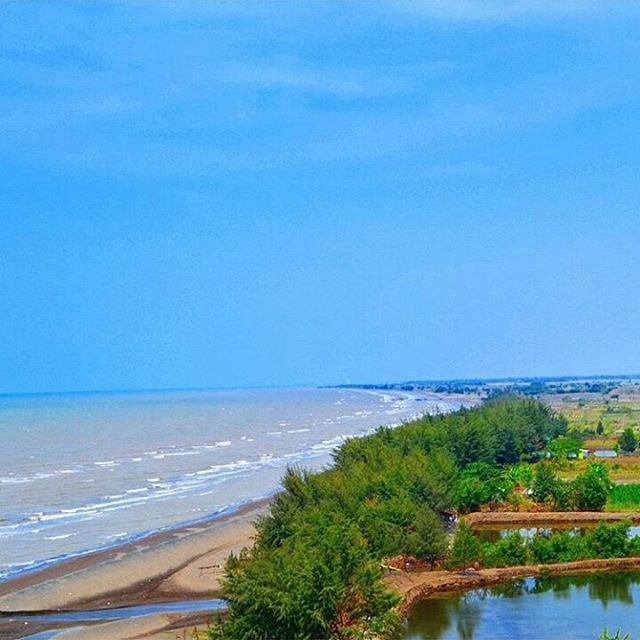 Pantai Jodo Gringsing Batang via IG, 1. Pantai Ujung Negoro Batang, 2. Pantai Celong, 3. Pantai Jodo Gringsing Batang, 4. Pantai Sigandu Batang – Safari Beach Jateng, 5. Kebun Teh Pagilaran Batang, 6. Curug Sijeglong, 7. Curug Agung Batang, 8. Curug Bidadari, 9. Curug Sodong, 10. Curug Genting Blado, 11. Rivertubing di Kali Lampir, 12. Telaga Dringo Batang, 13. Pemandian Air Panas Sangu Banyu, 14. Agrowisata Salak Sodong Batang, 15. Taman Budaya dan Rekreasi Kramat, 16. Batang Dolphin Center, 17. Ecopark Bandar, 18. Desa Wisata Pranten, 19. Goa Jepang (Tutup), 20. Tubing Pandansari Batang, 21. Pantai Pelabuhan Perikanan Batang, 22. Pantai Buntu – Pantai Jodo, 23. Batu Gamelan Batang, 24. Agrowisata Selopajang Timur, 25. Puncak Patran, 26. Wisata Alam Sikembang, 27. Curug Gombong, 28. Curug Botoh, 29. Curug Kanoman, 30. Green House Sri Tani Lestari – Taman Bunga Krisan, 31. Rumah Pohon Tombo (Tutup), 32. Curug Sipitung, 33. Curug Lojahan, 34. Pantai Sicepit – Pantai Segolok, 35. Jembatan Buntu Sengon, 36. Wana Wisata Polowono, 37. Pandang Sri Gunung, 38. Curug Sidangkrong, 39. Hutan Kota Rajawali Batang