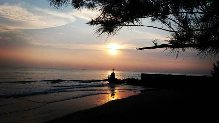 Pantai Sigandu Batang via @tafiroh_mus, 1. Pantai Ujung Negoro Batang, 2. Pantai Celong, 3. Pantai Jodo Gringsing Batang, 4. Pantai Sigandu Batang – Safari Beach Jateng, 5. Kebun Teh Pagilaran Batang, 6. Curug Sijeglong, 7. Curug Agung Batang, 8. Curug Bidadari, 9. Curug Sodong, 10. Curug Genting Blado, 11. Rivertubing di Kali Lampir, 12. Telaga Dringo Batang, 13. Pemandian Air Panas Sangu Banyu, 14. Agrowisata Salak Sodong Batang, 15. Taman Budaya dan Rekreasi Kramat, 16. Batang Dolphin Center, 17. Ecopark Bandar, 18. Desa Wisata Pranten, 19. Goa Jepang (Tutup), 20. Tubing Pandansari Batang, 21. Pantai Pelabuhan Perikanan Batang, 22. Pantai Buntu – Pantai Jodo, 23. Batu Gamelan Batang, 24. Agrowisata Selopajang Timur, 25. Puncak Patran, 26. Wisata Alam Sikembang, 27. Curug Gombong, 28. Curug Botoh, 29. Curug Kanoman, 30. Green House Sri Tani Lestari – Taman Bunga Krisan, 31. Rumah Pohon Tombo (Tutup), 32. Curug Sipitung, 33. Curug Lojahan, 34. Pantai Sicepit – Pantai Segolok, 35. Jembatan Buntu Sengon, 36. Wana Wisata Polowono, 37. Pandang Sri Gunung, 38. Curug Sidangkrong, 39. Hutan Kota Rajawali Batang