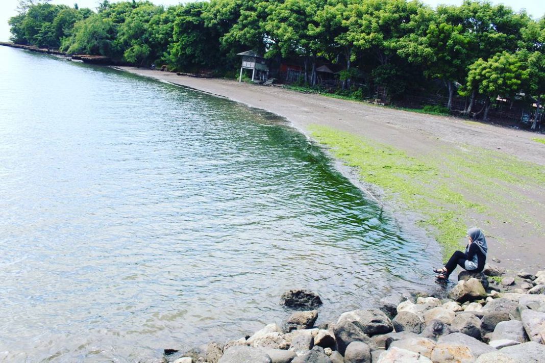 Pantai Pathek Situbondo via @vuzmeong, 1. Taman Nasional Baluran, 2. Pantai Pasir Putih Situbondo, 3. Pantai Bletok, 4. Pantai Lempuyang, 5. Pantai Tangsi, 6. Pantai Keperan, 7. Pantai Pathek, 8. Pantai Tampora Situbondo, 9. Pantai Balanan, 10. Pantai Banongan, 11. Pantai Bama, 12. Wisata Kampung Blekok, 13. Pantai sejile, 14. Pantai Firdaus Banongan, 15. Bekol Savana TN Baluran, 16. Air Terjun Setancak, 17. Air Terjun Talempong, 18. Alun – Alun Situbondo, 19. Rumah Residen Besuki, 20. Puncak Ringgit, 21. Pabrik Gula Olean, 22. Monumen 1000 Km Anyer Panarukan, 23. Arung Jeram Samir Situbondo, 24. Perkebunan Kopi Kayu Mas, 25. Padang Savana Situbondo, 26. Pelabuhan Rakyat Panarukan, 27. Taman Asembagus, 28. Kolam Renang Tirta Pandawa Situbondo, 29. Pelabuhan Jangkar Situbondo, 30. Waduk Curah Cottok Situbondo, 31. Gunung Argopura, 32. Kelenteng Poo Tong Biaw Situbondo, 33. Pantai Pasir Hitam Banongan, 34. Pantai Pandean, 35. Waduk Bajulmati, 36. Bukit Cappore, 37. Pantai Bilik Situbondo, 38. Puncak Rengganis Argopuro Situbondo, 39. Padang Rumput Sikasur