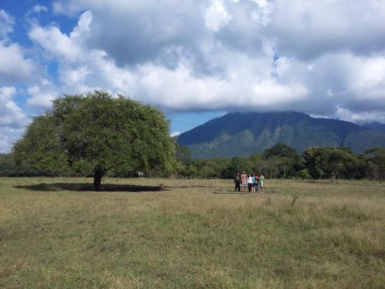 Padang Savana Situbondo via Tripadvisor, 1. Taman Nasional Baluran, 2. Pantai Pasir Putih Situbondo, 3. Pantai Bletok, 4. Pantai Lempuyang, 5. Pantai Tangsi, 6. Pantai Keperan, 7. Pantai Pathek, 8. Pantai Tampora Situbondo, 9. Pantai Balanan, 10. Pantai Banongan, 11. Pantai Bama, 12. Wisata Kampung Blekok, 13. Pantai sejile, 14. Pantai Firdaus Banongan, 15. Bekol Savana TN Baluran, 16. Air Terjun Setancak, 17. Air Terjun Talempong, 18. Alun – Alun Situbondo, 19. Rumah Residen Besuki, 20. Puncak Ringgit, 21. Pabrik Gula Olean, 22. Monumen 1000 Km Anyer Panarukan, 23. Arung Jeram Samir Situbondo, 24. Perkebunan Kopi Kayu Mas, 25. Padang Savana Situbondo, 26. Pelabuhan Rakyat Panarukan, 27. Taman Asembagus, 28. Kolam Renang Tirta Pandawa Situbondo, 29. Pelabuhan Jangkar Situbondo, 30. Waduk Curah Cottok Situbondo, 31. Gunung Argopura, 32. Kelenteng Poo Tong Biaw Situbondo, 33. Pantai Pasir Hitam Banongan, 34. Pantai Pandean, 35. Waduk Bajulmati, 36. Bukit Cappore, 37. Pantai Bilik Situbondo, 38. Puncak Rengganis Argopuro Situbondo, 39. Padang Rumput Sikasur