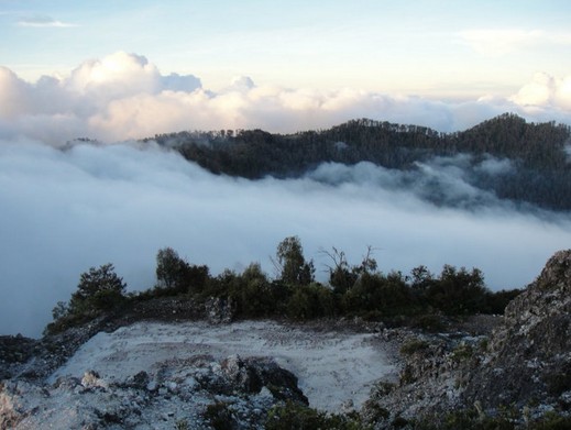 Puncak Rengganis Argopuro Situbondo, 1. Taman Nasional Baluran, 2. Pantai Pasir Putih Situbondo, 3. Pantai Bletok, 4. Pantai Lempuyang, 5. Pantai Tangsi, 6. Pantai Keperan, 7. Pantai Pathek, 8. Pantai Tampora Situbondo, 9. Pantai Balanan, 10. Pantai Banongan, 11. Pantai Bama, 12. Wisata Kampung Blekok, 13. Pantai sejile, 14. Pantai Firdaus Banongan, 15. Bekol Savana TN Baluran, 16. Air Terjun Setancak, 17. Air Terjun Talempong, 18. Alun – Alun Situbondo, 19. Rumah Residen Besuki, 20. Puncak Ringgit, 21. Pabrik Gula Olean, 22. Monumen 1000 Km Anyer Panarukan, 23. Arung Jeram Samir Situbondo, 24. Perkebunan Kopi Kayu Mas, 25. Padang Savana Situbondo, 26. Pelabuhan Rakyat Panarukan, 27. Taman Asembagus, 28. Kolam Renang Tirta Pandawa Situbondo, 29. Pelabuhan Jangkar Situbondo, 30. Waduk Curah Cottok Situbondo, 31. Gunung Argopura, 32. Kelenteng Poo Tong Biaw Situbondo, 33. Pantai Pasir Hitam Banongan, 34. Pantai Pandean, 35. Waduk Bajulmati, 36. Bukit Cappore, 37. Pantai Bilik Situbondo, 38. Puncak Rengganis Argopuro Situbondo, 39. Padang Rumput Sikasur