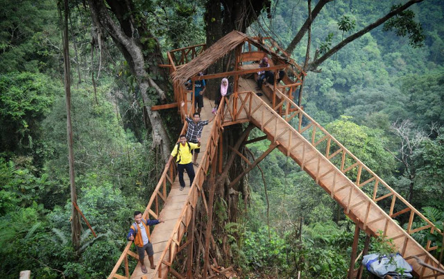 Rumah Pohon Tombo via Malaspulang, 1. Pantai Ujung Negoro Batang, 2. Pantai Celong, 3. Pantai Jodo Gringsing Batang, 4. Pantai Sigandu Batang – Safari Beach Jateng, 5. Kebun Teh Pagilaran Batang, 6. Curug Sijeglong, 7. Curug Agung Batang, 8. Curug Bidadari, 9. Curug Sodong, 10. Curug Genting Blado, 11. Rivertubing di Kali Lampir, 12. Telaga Dringo Batang, 13. Pemandian Air Panas Sangu Banyu, 14. Agrowisata Salak Sodong Batang, 15. Taman Budaya dan Rekreasi Kramat, 16. Batang Dolphin Center, 17. Ecopark Bandar, 18. Desa Wisata Pranten, 19. Goa Jepang (Tutup), 20. Tubing Pandansari Batang, 21. Pantai Pelabuhan Perikanan Batang, 22. Pantai Buntu – Pantai Jodo, 23. Batu Gamelan Batang, 24. Agrowisata Selopajang Timur, 25. Puncak Patran, 26. Wisata Alam Sikembang, 27. Curug Gombong, 28. Curug Botoh, 29. Curug Kanoman, 30. Green House Sri Tani Lestari – Taman Bunga Krisan, 31. Rumah Pohon Tombo (Tutup), 32. Curug Sipitung, 33. Curug Lojahan, 34. Pantai Sicepit – Pantai Segolok, 35. Jembatan Buntu Sengon, 36. Wana Wisata Polowono, 37. Pandang Sri Gunung, 38. Curug Sidangkrong, 39. Hutan Kota Rajawali Batang