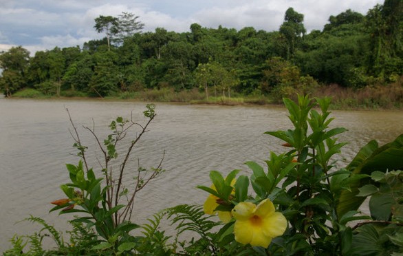 Situ Palayangan, 1. Pantai Karang Bokor, 2. Pantai Pasir Putih Sawarna, 3. Curug Ciporolak, 4. Curug Cihear, 5. Curuh Kanteh, 6. Agrowisata Kebun Teh Cikuya, 7. Curug Kumpay, 8. Curug Cibangkit, 9. Curug Sipayung, 10. Situ Palayangan, 11. Pantai Talanca, 12. Wisata Seni Batik Khas Lebak, 13. Situs Cibedug, 14. Wisata Air Panas Senanghati, 15. Pantai Suka Hujan, 16. Pantai Cihara, 17. Pantai Goa Langir Sawarna, 18. Gua Seribu Candi, 19. Wisata Tapak Kaki Raksasa si Kabayan, 20. Wisata Air Panas Cipanas, 21. Wisata Kampung Baduy, 22. Pantai Karang Malang, 23. Objek Wisata Samaun’s Hill Park, 24. Pantai Ciantir, 25. Pantai Bagedur, 26. Pantai Tanjung Layar, 27. Curug Munding, 28. Situ Cicinta, 29. Curug Sata, 30. Wisata Arung Jeram Sungai Ciberang, 31. Curug Cimayang, 32. Gua Maria Bukit Kanada, 33. Alun – alun Rangkasbitung, 34. Museum Multatuli Lebak, 35. Pantai Karang Songsong