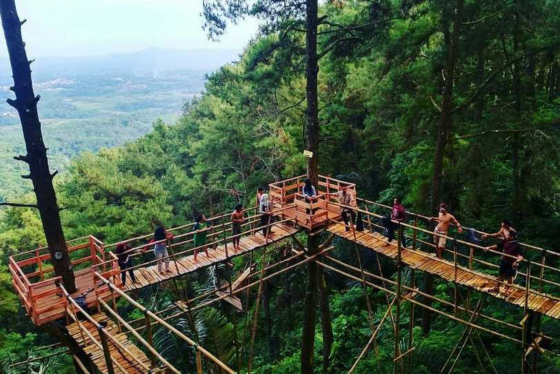 Wana Wisata Polowono via @ibenkmbolank, 1. Pantai Ujung Negoro Batang, 2. Pantai Celong, 3. Pantai Jodo Gringsing Batang, 4. Pantai Sigandu Batang – Safari Beach Jateng, 5. Kebun Teh Pagilaran Batang, 6. Curug Sijeglong, 7. Curug Agung Batang, 8. Curug Bidadari, 9. Curug Sodong, 10. Curug Genting Blado, 11. Rivertubing di Kali Lampir, 12. Telaga Dringo Batang, 13. Pemandian Air Panas Sangu Banyu, 14. Agrowisata Salak Sodong Batang, 15. Taman Budaya dan Rekreasi Kramat, 16. Batang Dolphin Center, 17. Ecopark Bandar, 18. Desa Wisata Pranten, 19. Goa Jepang (Tutup), 20. Tubing Pandansari Batang, 21. Pantai Pelabuhan Perikanan Batang, 22. Pantai Buntu – Pantai Jodo, 23. Batu Gamelan Batang, 24. Agrowisata Selopajang Timur, 25. Puncak Patran, 26. Wisata Alam Sikembang, 27. Curug Gombong, 28. Curug Botoh, 29. Curug Kanoman, 30. Green House Sri Tani Lestari – Taman Bunga Krisan, 31. Rumah Pohon Tombo (Tutup), 32. Curug Sipitung, 33. Curug Lojahan, 34. Pantai Sicepit – Pantai Segolok, 35. Jembatan Buntu Sengon, 36. Wana Wisata Polowono, 37. Pandang Sri Gunung, 38. Curug Sidangkrong, 39. Hutan Kota Rajawali Batang