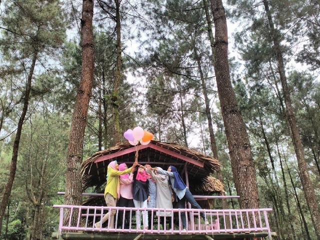 Wisata Alam Sikembang via Reservasi, 1. Pantai Ujung Negoro Batang, 2. Pantai Celong, 3. Pantai Jodo Gringsing Batang, 4. Pantai Sigandu Batang – Safari Beach Jateng, 5. Kebun Teh Pagilaran Batang, 6. Curug Sijeglong, 7. Curug Agung Batang, 8. Curug Bidadari, 9. Curug Sodong, 10. Curug Genting Blado, 11. Rivertubing di Kali Lampir, 12. Telaga Dringo Batang, 13. Pemandian Air Panas Sangu Banyu, 14. Agrowisata Salak Sodong Batang, 15. Taman Budaya dan Rekreasi Kramat, 16. Batang Dolphin Center, 17. Ecopark Bandar, 18. Desa Wisata Pranten, 19. Goa Jepang (Tutup), 20. Tubing Pandansari Batang, 21. Pantai Pelabuhan Perikanan Batang, 22. Pantai Buntu – Pantai Jodo, 23. Batu Gamelan Batang, 24. Agrowisata Selopajang Timur, 25. Puncak Patran, 26. Wisata Alam Sikembang, 27. Curug Gombong, 28. Curug Botoh, 29. Curug Kanoman, 30. Green House Sri Tani Lestari – Taman Bunga Krisan, 31. Rumah Pohon Tombo (Tutup), 32. Curug Sipitung, 33. Curug Lojahan, 34. Pantai Sicepit – Pantai Segolok, 35. Jembatan Buntu Sengon, 36. Wana Wisata Polowono, 37. Pandang Sri Gunung, 38. Curug Sidangkrong, 39. Hutan Kota Rajawali Batang