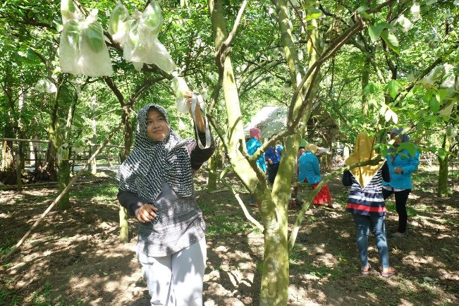 Agrowisata Kebun Blimbing Grobogan, 1. Waduk Kedung Ombo, 2. Waduk Klambu, 3. Waduk Cindelaras, 4. Waduk Nglangon, 5. Objek Wisata Bledug Kuwu Grobogan, 6. Goa Macan dan Goa Lowo, 7. Goa Urang Grobogan, 8. Wisata Api Abadi Mrapen, 9. Air Terjun Gulingan, 10. Air Terjun Widuri, 11. Objek Wisata Jati Pohon Indah, 12. Objek Wisata Lumpur Kesongo, 13. White Canyon, 14. Kalibiru Grobogan, 15. Kedung Kempul, 16. Sendang Coyo Grobogan, 17. Tugu Lasi, 18. Danau Resto Purwodadi, 19. Kolam Renang Ayodya, 20. Desa Wisata Banjarejo, 21. Bendungan Klambu, 22. Waduk Gambringan, 23. Masjid K.H. Burham, 24. Cindelaras, 25. Taman Remaja Pungkruk, 26. Agrowisata Kebun Blimbing Grobogan, 27. Makam Ki Ageng Selo, 28. Waterboom Mulia Klambu, 29. Waterpark ‘n Snow Gubug, 30. Master Park Purwodadi – Aircraft and Air Travel Master Park, 31. Arung Jeram Grobogan, 32. Wisata Tengah Sawah (WTS), 33. Grojogan Jati Anom, 34. Waduk Butak, 35. Bendungan Glapan Munir, 36. Waduk Sidorejo, 37. Bendungan Dumpil, 38. Wisata Air Terjun Taruman, 39. Sendang Keongan, 40. Grojogan Kinasih, 41. Air Terjun Nganyongan, 42. Puncak Pelangi Gunung Ulo, 43. Menara Simpang Lima, 44. Air Terjun Watu Ondo, 45. Air Terjun Bengkat, 46. Kedung Tlawah, 47. Grojogan Ngrandu