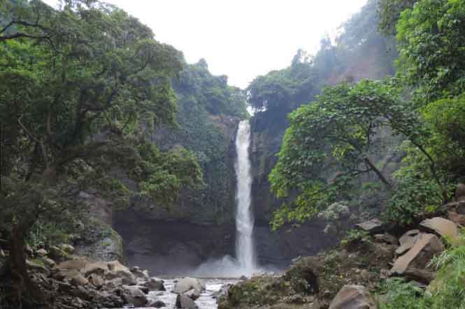 Air Terjun Baung via bhayangkaranews, 1. Kawasan Tretes, 2. Taman Safari Prigen, 3. Pantai Lekok, 4. Gunung Bromo, 5. Bukit Flora, 6. Condido Agro Herbal, 7. Finna Golf & Club Resort, 8. Pantai Penunggul, 9. Pemandian Alam Banyu Biru Pasuruan, 10. Candi Jawi, 11. Candi Gunung Gangsir, 12. Danau Ranu Grati, 13. Kebun Raya Purwodadi, 14. Kebun Apel Khrisna, 15. Agrowisata Bhakti Alam Pasuruan, 16. Air Terjun Gumandar, 17. Air Terjun Sumber Nyonya, 18. Air Terjun / Coban Cemoro Gading, 19. Coban Waru Pasuruan, 20. Coban Rambut Moyo, 21. Air Terjun Kakek Bodo Pasuruan, 22. Air Terjun Putuk Truno, 23. Saygon Waterpark, 24. Sawahe Pak Budi, 25. The Taman Dayu, 26. Alun-alun Pasuruan, 27. Taman Pakuncen, 28. Taman GOR Untung Suropati, 29. Taman Sekargadung, 30. Hutan Mangrove Nguling, 31. Air Terjun Baung, 32. Air Terjun Alap-alap di Pasuruan, 33. Air Terjun Tundo Pitu di Pasuruan, 34. Masjid Cheng Hoo Pandaan, 35. Curug Coban Watu, 36. Saygon Night Park, 37. Kedawung Agro Selfie, 38. Reco Kembar, 39. Pemandian Taman Ria Suropati, 40. Taman Hayati, 41. Candi Belahan (Candi Sumber Tetek)