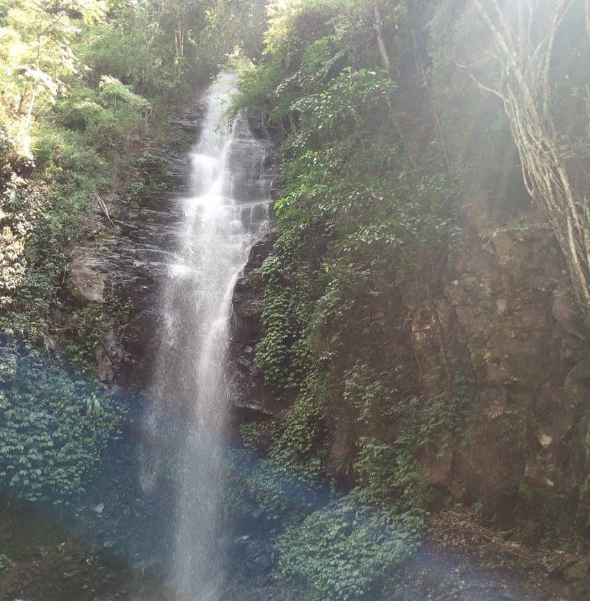 Air Terjun Dlundung Mojokerto via @dwi.aprily, 1. Wisata Sawah Sumber Gempong, 2. Bernah De Vallei, 3. Waterland Mojokerto, 4. Candi Bajang Ratu, 5. Candi Brahu, 6. Candi Tikus, 7. Candi Wringin Lawang, 8. Kolam Segaran, 9. Museum Trowulan, 10. Mahavihara Majapahit, 11. Patung Buddha Tidur, 12. Pendopo Agung Trowulan, 13. Air Terjun Coban Canggu, 14. Air Terjun Dlundung Mojokerto, 15. Pacet Mini Park Mojokerto, 16. Joglo Park Mojokerto, 17. Candi Jolotundo, 18. Klurak Eco Park, 19. Puncak Bayangan Gunung Penanggungan, 20. Pemandian Air Panas Padusan, 21. Air Terjun Grenjengan, 22. Api Abadi Mojokerto, 23. Bukit Watu Jengger, 24. Claket Adventure Park, 25. Air Terjun 7 Bidadari, 26. Pacet Hill, 27. Air Terjun Duyung Trawas Hill, 28. Fresh Green Trawas, 29. PPLH Seloliman Trawas, 30. Obech Rafting Pacet, 31. Sumber Wuluh, 32. Air Terjun Watu Ondo, 33. Alun-alun Mojokerto, 34. Wisata Desa BMJ Mojopahit, 35. Wisata Bukit Kayoe putih, 36. Taman Semeru, 37. Ranu Manduro, 38. Wisata Waduk Tanjungan, 39. Taman Kehati, 40. Reco Banteng Hayam Wuruk, 41. Benteng Taman, 42. Air Terjun Watu Gedhek, 43. Coban Talun, 44. Wisata Sumber Dhuwur Sidorejo, 45. Rainbow Garden Poetoek Soeko, 46. MOLAGAR, 47. WET SENDI 2, 48. Situs Siti Inggil, 49. Balai Pelestarian Cagar Budaya, 50. Wanawisata Dlundung, 51. Candi Kesiman, 52. Candi Bangkal, 53. Museum Sanggar Gubug Wayang, 54. Air Terjun Surodadu, 55. Petik Strawberry Padusan, 56. Gua gembyang, 57. Candi Jedong, 58. Air Terjun Watu Lumpang, 59. Situs Reco Lanang, 60. Pemandian Ubalan, 61. Makam Troloyo