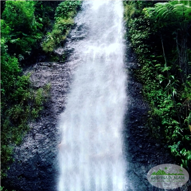 Air Terjun Tretes Tlogowungu via Wisat4dieng.blogspot.com, 1. Pantai Banyutowo, 2. Hutan Mangrove Pantai Sambilawang Pati, 3. Alun-alun Simpang Lima Pati, 4. Pulau Seprapat, 5. Waduk Gunung Rowo Pati, 6. Waduk Seloromo, 7. Pati Night Carnival, 8. Juwana Water Fantasy, 9. Klating Pucakwangi, 10. Kebun Kopi Jolong, 11. Situs Bersejarah Candi Kayen, 12. Goa Wareh, 13. Sendang Sani Pati, 14. Air Terjun Grenjengan Jolong, 15. Air Terjun Tadah Hujan Pati, 16. Makam Syekh Mutamakkin, 17. Makam Syekh Jangkung Saridin, 18. Wisata Industri PT. Dua Kelinci, 19. Desa Wisata Pemancingan Talun, 20. Pintu Gerbang Majapahit, 21. Petilasan Kadipaten Pati Genuk Kemiri, 22. Goa Pancur, 23. Lorodan Semar, 24. Kran Air Raksasa Melayang, 25. Vihara Gunung Wungkul, 26. Bumi Perkemahan Regaloh, 27. Air Terjun Selonatah, 28. Air Terjun Tretes Tlogowungu, 29. Haul Sunan Prawoto, 30. Hutan Kota Kalidoro, 31. Air Terjun Grenjengan Sewu, 32. Bukit Pandang Duren Sawit, 33. Hutan Pinus Pangonan, 34. Sego Gandul, 35. Sego Tewel Tambak Romo