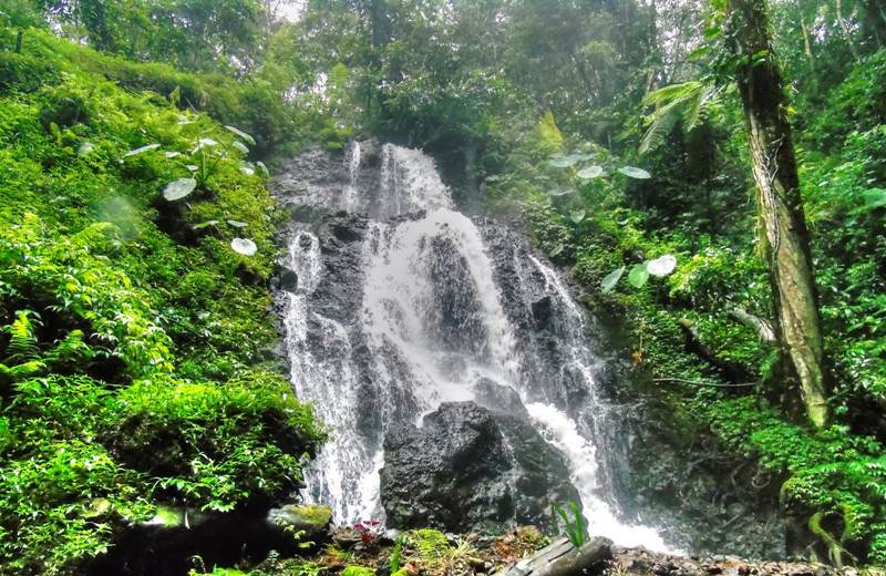 Air Terjun Watu Lumpang via sinyoureh.blogspot.co.id, 1. Wisata Sawah Sumber Gempong, 2. Bernah De Vallei, 3. Waterland Mojokerto, 4. Candi Bajang Ratu, 5. Candi Brahu, 6. Candi Tikus, 7. Candi Wringin Lawang, 8. Kolam Segaran, 9. Museum Trowulan, 10. Mahavihara Majapahit, 11. Patung Buddha Tidur, 12. Pendopo Agung Trowulan, 13. Air Terjun Coban Canggu, 14. Air Terjun Dlundung Mojokerto, 15. Pacet Mini Park Mojokerto, 16. Joglo Park Mojokerto, 17. Candi Jolotundo, 18. Klurak Eco Park, 19. Puncak Bayangan Gunung Penanggungan, 20. Pemandian Air Panas Padusan, 21. Air Terjun Grenjengan, 22. Api Abadi Mojokerto, 23. Bukit Watu Jengger, 24. Claket Adventure Park, 25. Air Terjun 7 Bidadari, 26. Pacet Hill, 27. Air Terjun Duyung Trawas Hill, 28. Fresh Green Trawas, 29. PPLH Seloliman Trawas, 30. Obech Rafting Pacet, 31. Sumber Wuluh, 32. Air Terjun Watu Ondo, 33. Alun-alun Mojokerto, 34. Wisata Desa BMJ Mojopahit, 35. Wisata Bukit Kayoe putih, 36. Taman Semeru, 37. Ranu Manduro, 38. Wisata Waduk Tanjungan, 39. Taman Kehati, 40. Reco Banteng Hayam Wuruk, 41. Benteng Taman, 42. Air Terjun Watu Gedhek, 43. Coban Talun, 44. Wisata Sumber Dhuwur Sidorejo, 45. Rainbow Garden Poetoek Soeko, 46. MOLAGAR, 47. WET SENDI 2, 48. Situs Siti Inggil, 49. Balai Pelestarian Cagar Budaya, 50. Wanawisata Dlundung, 51. Candi Kesiman, 52. Candi Bangkal, 53. Museum Sanggar Gubug Wayang, 54. Air Terjun Surodadu, 55. Petik Strawberry Padusan, 56. Gua gembyang, 57. Candi Jedong, 58. Air Terjun Watu Lumpang, 59. Situs Reco Lanang, 60. Pemandian Ubalan, 61. Makam Troloyo