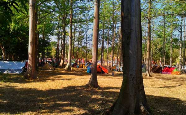 Bumi Perkemahan Regaloh via @arif_107, 1. Pantai Banyutowo, 2. Hutan Mangrove Pantai Sambilawang Pati, 3. Alun-alun Simpang Lima Pati, 4. Pulau Seprapat, 5. Waduk Gunung Rowo Pati, 6. Waduk Seloromo, 7. Pati Night Carnival, 8. Juwana Water Fantasy, 9. Klating Pucakwangi, 10. Kebun Kopi Jolong, 11. Situs Bersejarah Candi Kayen, 12. Goa Wareh, 13. Sendang Sani Pati, 14. Air Terjun Grenjengan Jolong, 15. Air Terjun Tadah Hujan Pati, 16. Makam Syekh Mutamakkin, 17. Makam Syekh Jangkung Saridin, 18. Wisata Industri PT. Dua Kelinci, 19. Desa Wisata Pemancingan Talun, 20. Pintu Gerbang Majapahit, 21. Petilasan Kadipaten Pati Genuk Kemiri, 22. Goa Pancur, 23. Lorodan Semar, 24. Kran Air Raksasa Melayang, 25. Vihara Gunung Wungkul, 26. Bumi Perkemahan Regaloh, 27. Air Terjun Selonatah, 28. Air Terjun Tretes Tlogowungu, 29. Haul Sunan Prawoto, 30. Hutan Kota Kalidoro, 31. Air Terjun Grenjengan Sewu, 32. Bukit Pandang Duren Sawit, 33. Hutan Pinus Pangonan, 34. Sego Gandul, 35. Sego Tewel Tambak Romo
