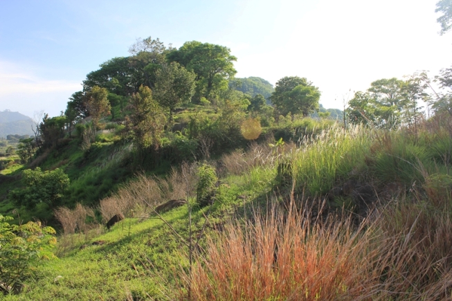 Bukit Lutung via Jalanwisata