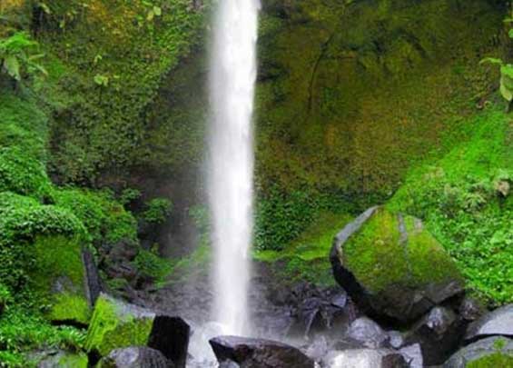 Coban Cemoro Gading, 1. Kawasan Tretes, 2. Taman Safari Prigen, 3. Pantai Lekok, 4. Gunung Bromo, 5. Bukit Flora, 6. Condido Agro Herbal, 7. Finna Golf & Club Resort, 8. Pantai Penunggul, 9. Pemandian Alam Banyu Biru Pasuruan, 10. Candi Jawi, 11. Candi Gunung Gangsir, 12. Danau Ranu Grati, 13. Kebun Raya Purwodadi, 14. Kebun Apel Khrisna, 15. Agrowisata Bhakti Alam Pasuruan, 16. Air Terjun Gumandar, 17. Air Terjun Sumber Nyonya, 18. Air Terjun / Coban Cemoro Gading, 19. Coban Waru Pasuruan, 20. Coban Rambut Moyo, 21. Air Terjun Kakek Bodo Pasuruan, 22. Air Terjun Putuk Truno, 23. Saygon Waterpark, 24. Sawahe Pak Budi, 25. The Taman Dayu, 26. Alun-alun Pasuruan, 27. Taman Pakuncen, 28. Taman GOR Untung Suropati, 29. Taman Sekargadung, 30. Hutan Mangrove Nguling, 31. Air Terjun Baung, 32. Air Terjun Alap-alap di Pasuruan, 33. Air Terjun Tundo Pitu di Pasuruan, 34. Masjid Cheng Hoo Pandaan, 35. Curug Coban Watu, 36. Saygon Night Park, 37. Kedawung Agro Selfie, 38. Reco Kembar, 39. Pemandian Taman Ria Suropati, 40. Taman Hayati, 41. Candi Belahan (Candi Sumber Tetek)